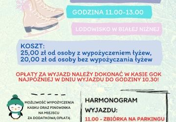 Wyjazd na lodowisko do Białej Niżnej.